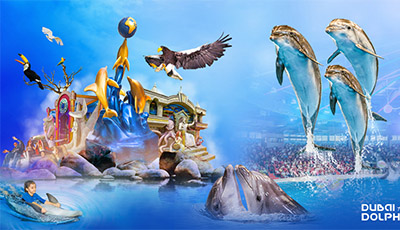 Dolphin_and_Seal_Show