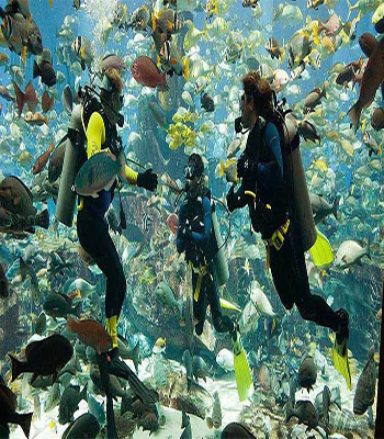 scuba-diving